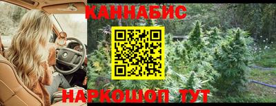 a pvp Новодвинск