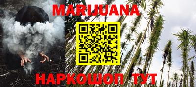 трава Новозыбков