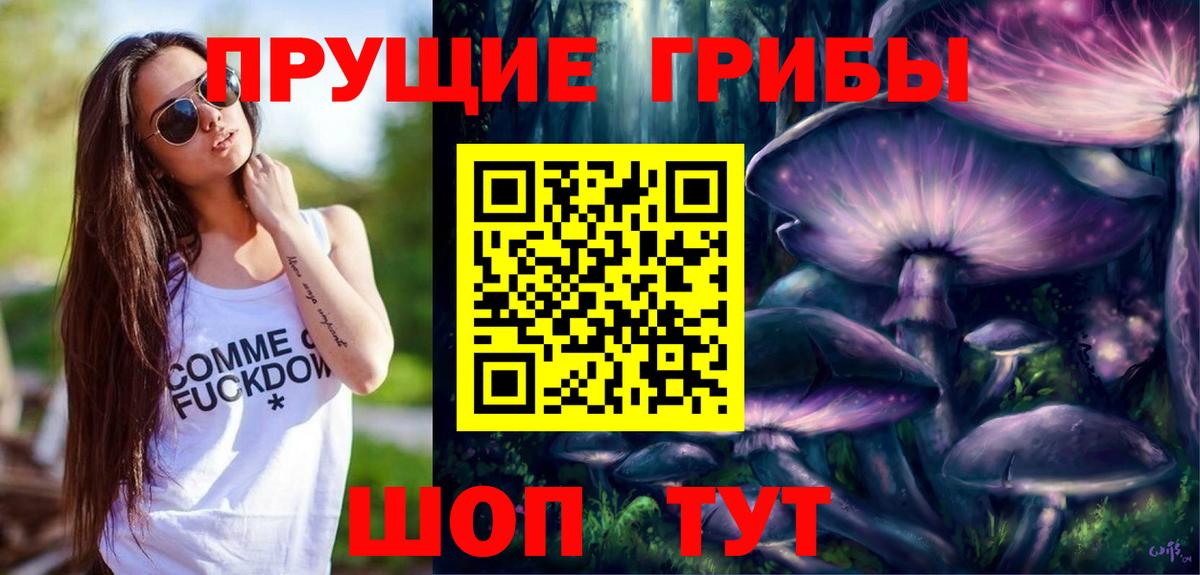 Амурск  Галлюциногенные грибы ЛСД  Вход с VPN 