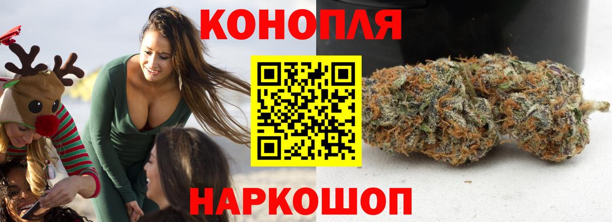 Каннабис план Амурск